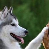 2^
